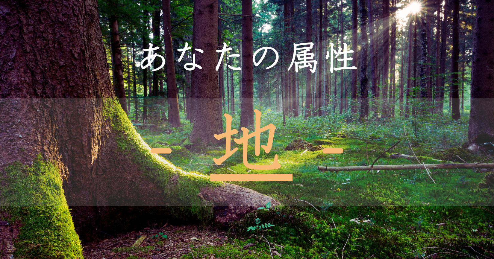アイキャッチ画像　あなたの神社属性は地です。